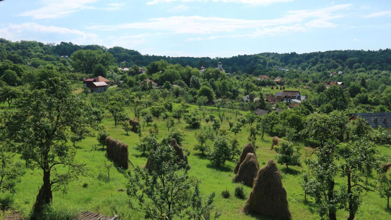 Pensiunea Luminita Mustatesti Exterior foto